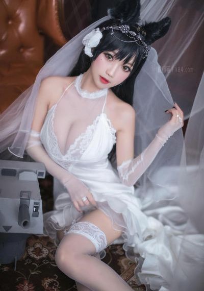 四虎最新域名
