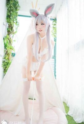 变形金刚1国语版