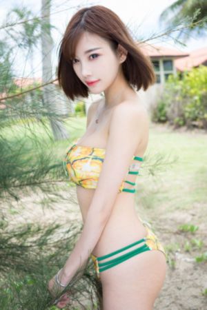 绝对控制电视剧免费观看全集