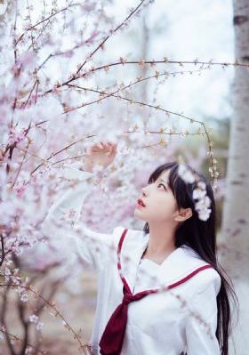 白眉大侠电视剧